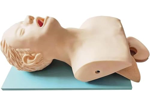 Mannequin d'intubation nasale et orale pour l'enseignement médical