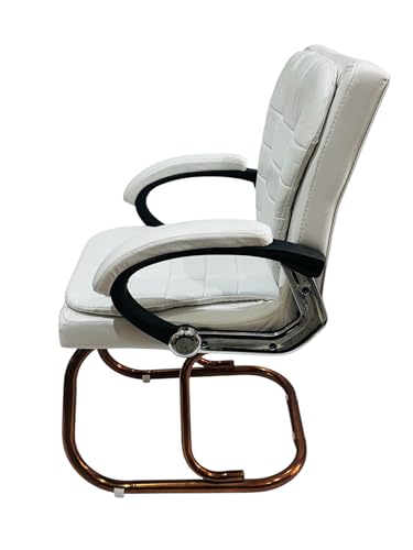 Image of GOYALSON Deluxe Cushioned Office Home Study Chair with Chrome Durable Frame and Cushioned seat Back (2, White, Copper Coated Double Pipe Frame)