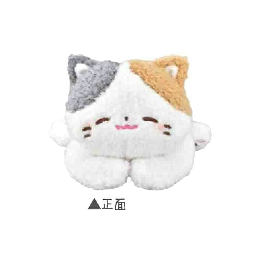猫ぬいぐるみ 31nE0NNHWnL._UF894,1000_QL80_.jpg
