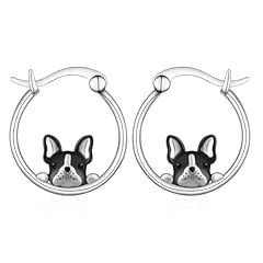 B01-Boston Terrier