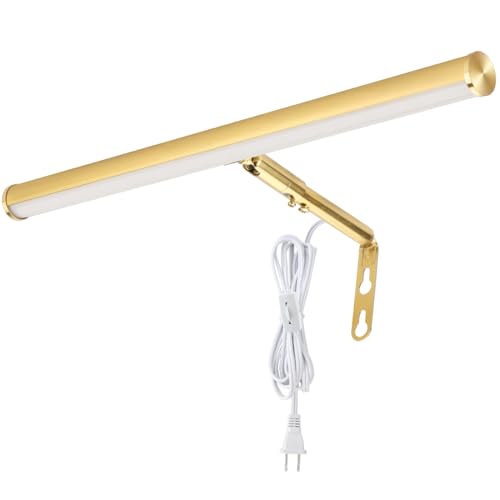 Xbuyee LED Picture Lights for Paintings Plug in, Adjustable Art Light Gallery Wall Light for Display...