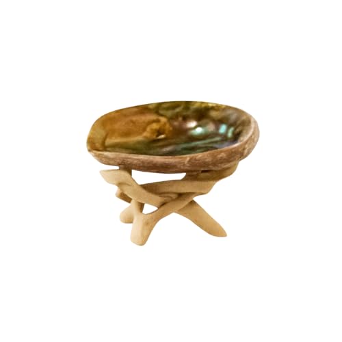 AoVF RuX^h VRLk F JtHjAY pTgz_[ zCgZ[W 󂯎M  (STCY, X^h/VFZbg)