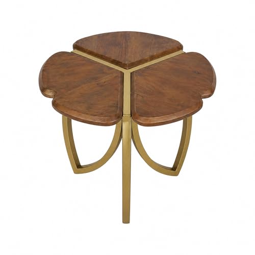 Image of The Attic Roselle Coffee Table, Coffee Table for Living Room, Teak & Gold Finish