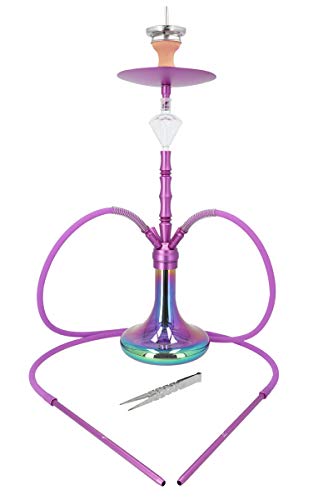 Smokezilla® MINYA 2S 2-Schlauch-Set Aluminium Rainbow Shisha | Spitze Optik mit Regenbogen Bowl und Diamond…