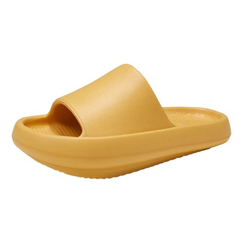 [LOKLNEYK] Xbp fB[X  ₷ ~ ₷ wlC y ʋC  É qp  O T_   K [V[Y S I[V[Y ~[ I[vgD r