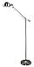 Verilux Brookfield Natural Spectrum Floor Lamp, All Metal Apothecary Lamp Inspired Design and Adjustable Head