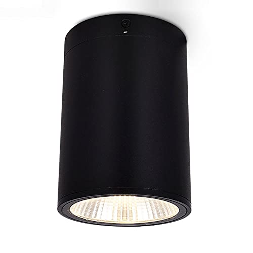Foco de techo LED 25W de aluminio orientable para iluminar galerías y comercios 2