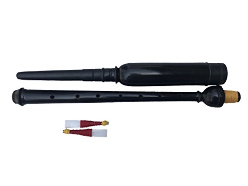 Bagpipes Chanter de pratique en palissandre avec 2 anches Cover