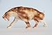 WLNTDOLA Smilodon Figure Saber-Toothed Tiger Felidae Model PVC Decoration Gift for Adult