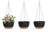 XQSHPDM Hanging Planters 3-Pack, 8 Inch Self-Watering Hanging Pots with Drainage Hole and Chains, Plastic Planters for Indoor Outdoor（Black Brown）