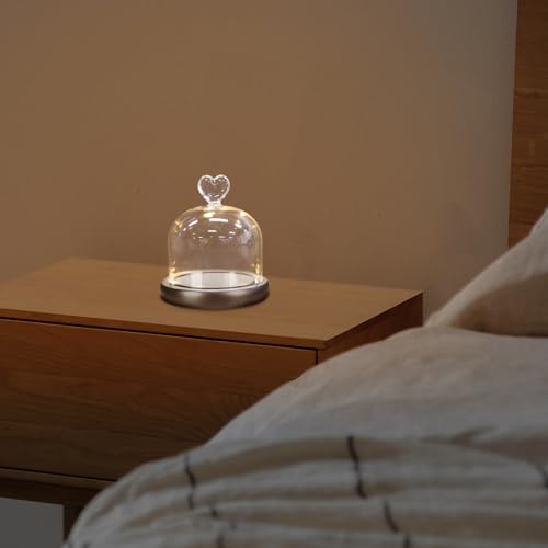 Flor preservada en cúpula de vidrio con luces creativas para centro de mesa y hogar 7