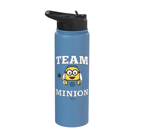Minions Team Minions 2024 Stainless Steel Insulated Water Bottle