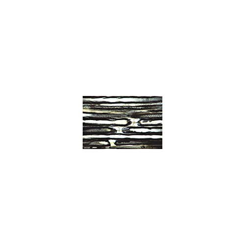 Image of 3B Scientific GmbH W13319 Nervous System-German
