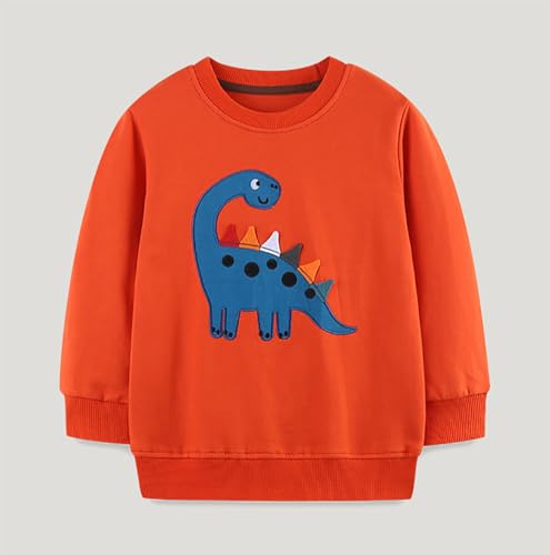 Boys Sweatshirts Casual Sweatshirts Cotton Sweatshirts Long Sleeve T-shirts Crew Neck Cartoon Tops for Boys-3233