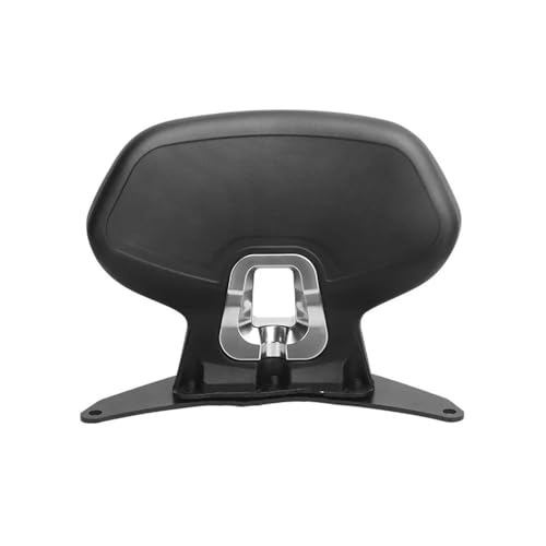 Accessoires de moto arrière contre-pointe dossier 350e passager avec rack pad