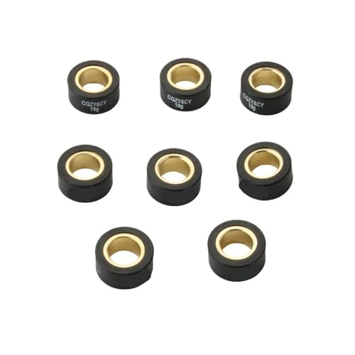 Masselottes de variateur de course 19g pour une accélération linéaire - 4