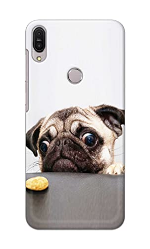 Image of Printed Hard Back Cover Case for Asus Zenfone Max Pro (M1) | Zenfone Max Pro M1 (5.99 inch) Back Cover (Pug Dog) -203