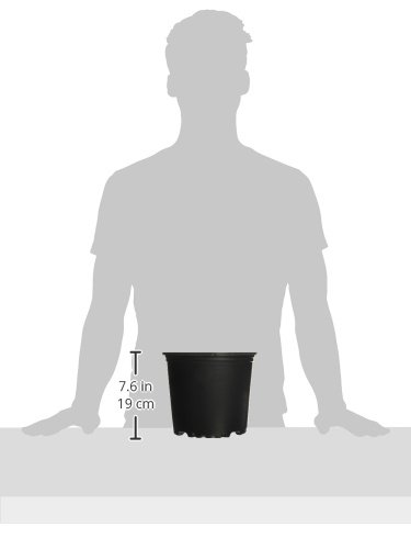 Viagrow 1 Gal. Plastic Nursery Pots (3.78 Liters) 10-Pack #TOP6