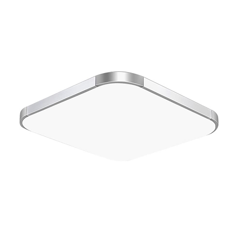 Luces de techo LED delgadas con pantalla acrílica para iluminar el pasillo sin sombras