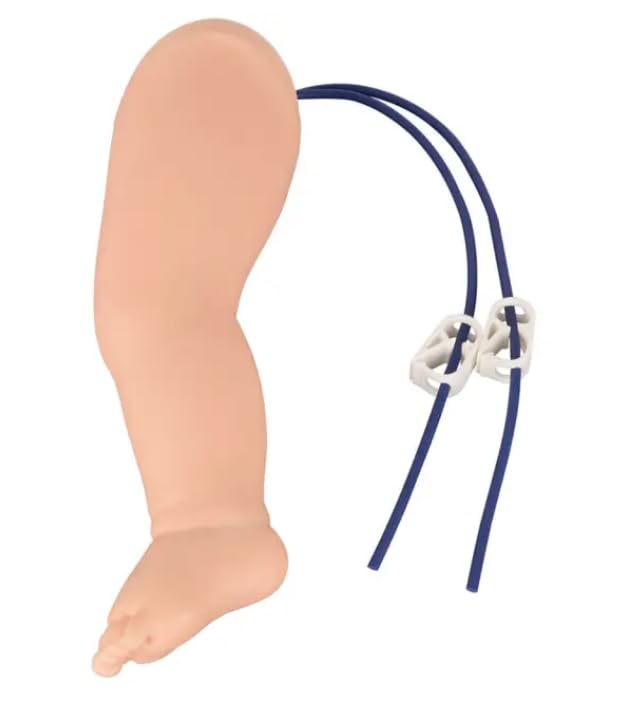 Kay Kay Industries II Paediatric IV Training Leg, Medical Education Model for Venipuncture and Phlebotomy Practice-image-15