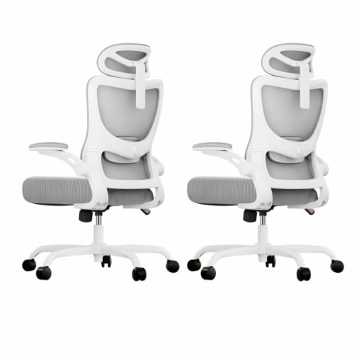 Image of Marsail Ergonomic Office Chair with 3D Armrests, Pack of 2