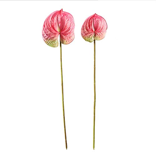 T-XYD Planta Artificial, Artificial Tropicales Grandes Anthurium Impresión 3D Cinturón Verde jardín Decorativo Decoración Landscaping 4 Colores,Rojo