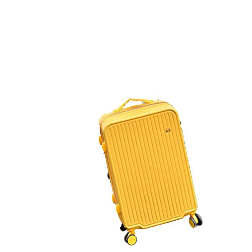 [Hefiona] X[cP[X L[P[X @ 35L L[obO t@Xi[ y ^ ϏՌ É _uLX^[ 360x] s rWlX o CG[ STCYi1-3j