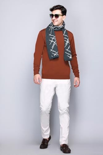 Image of GODFREY Woolen Full Sleeve Sweaters for Men Winter Wear - Turtle Neck Pullover for Men Stylish