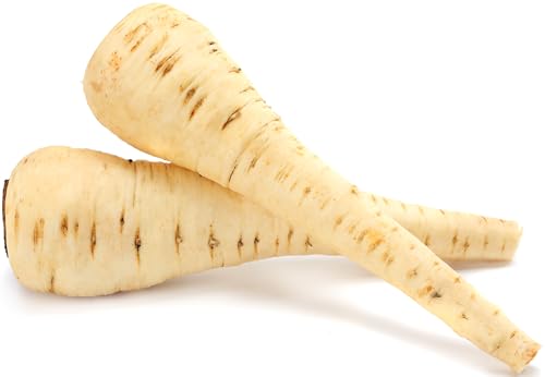 500+ Parsnip Seeds for Planting - Harris Model - Heirloom, Non-GMO, USA Grown - Slender Roots, Sweet...