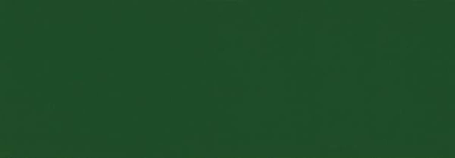 Osmo Landhausfarbe 2404 Tannengrün Größe 2,5 L