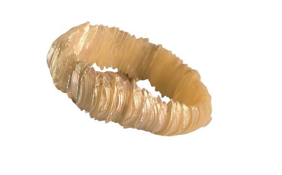 Girls Shell Bracelet, Circumference, Beige - Stretchable material (B0DC3L9DB9) Amazon Price History, Amazon Price Tracker