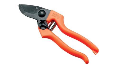 Ausonia - Forbice vigna professionale Patin 2 cm 19,5