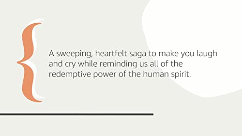 The Heart's Invisible Furies: A Novel