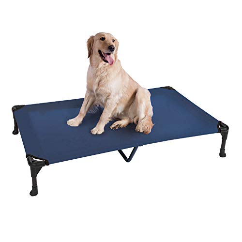 6 Best Dog Beds for Boxers (2023) Boxers Love These Beds!