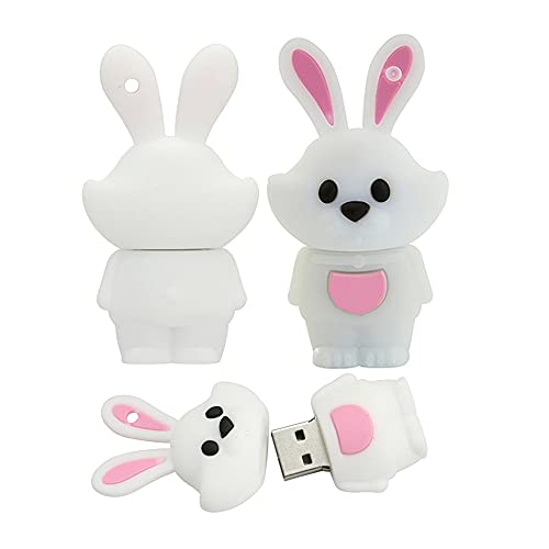 16GB Clé USB 2.0 Cartoon 12 Animaux Symboliques - Dispositif de Stockage Externe Mémoire Flash Pen (Lapin)
