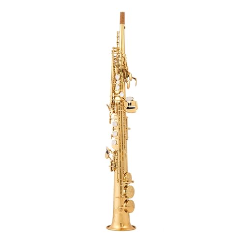 Saxophone sopranino mib en laiton jaune pour apprendre la musique sans limites