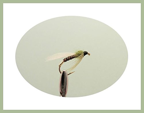 6 Pack of Olive Emerger Trout Flies Choice (10/12)