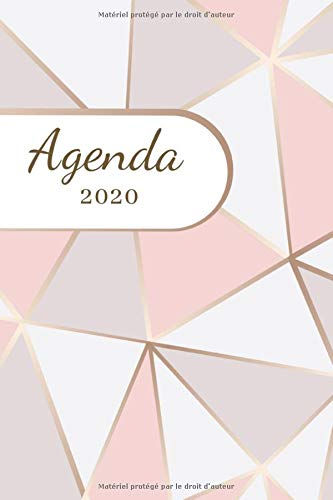 Télécharger Agenda 2020: planificateur, semainier simple -12 mois journalier 2020 janvier à décembre - format Livre eBook France
