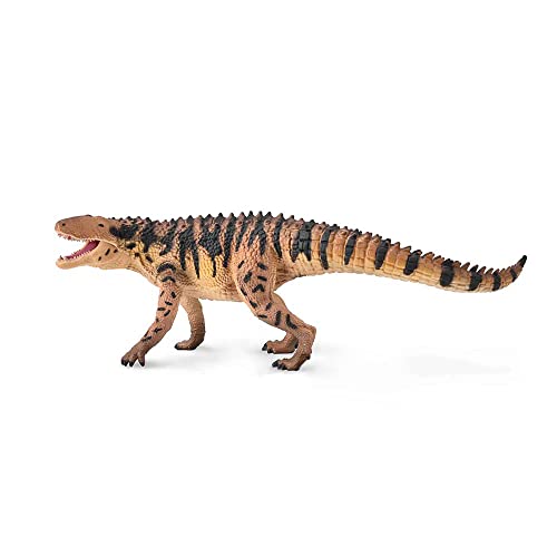 CollectA (RN^) X[N  tBMA 1:20 fbNXf 88945