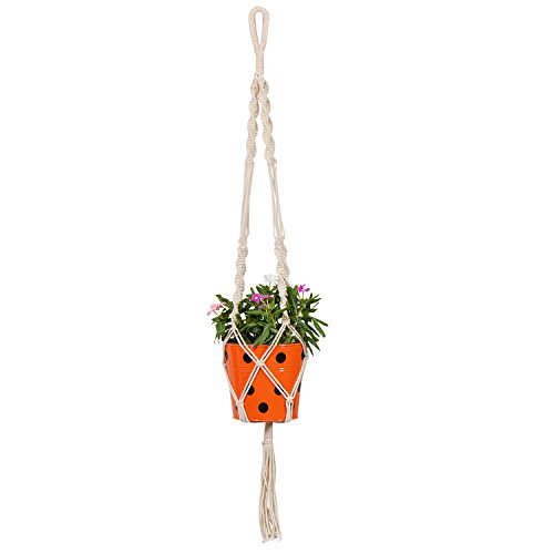 TrustBasket Round Dotted Pot with Macrame Cotton Contemporary Hanger - Set of 5 | Rope Flower Pot Holder for Indoor and Outdoor Hanging Planter Basket