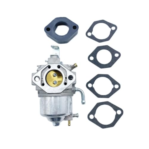 Carburateur moto GB290 GM301 pour l'entretien efficace de votre jardin