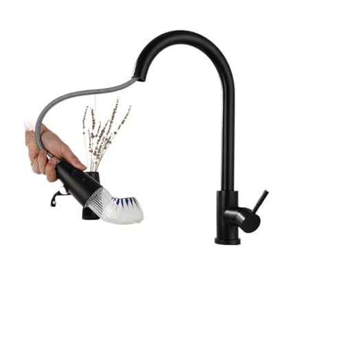 Robinet de cuisine en acier inox 304 noir mitigeur extensible d'évier