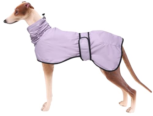 Greyhound Whippet Waterproof Raincoat