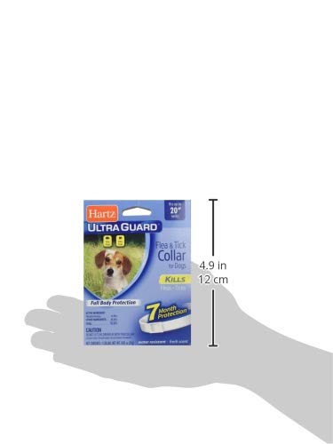 Hartz Best Flea Collar For Yorkies Hartz UltraGuard ProMax Flea