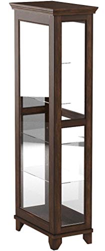 5-Shelf Curio Cabinet with Mirrored Back Chesnut