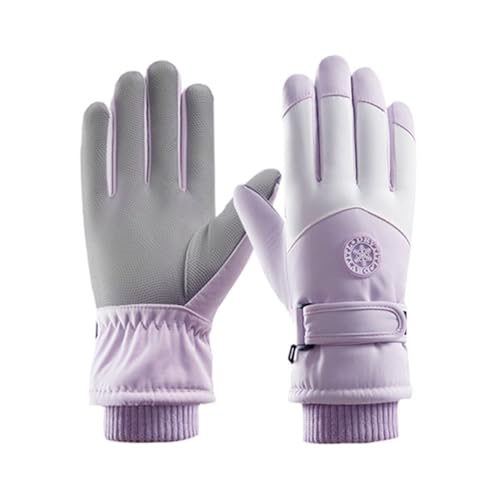 h ^b`XN[ Ή 蓅 jp ~ AEghA ] XL[ h h? g  jo[TTCY