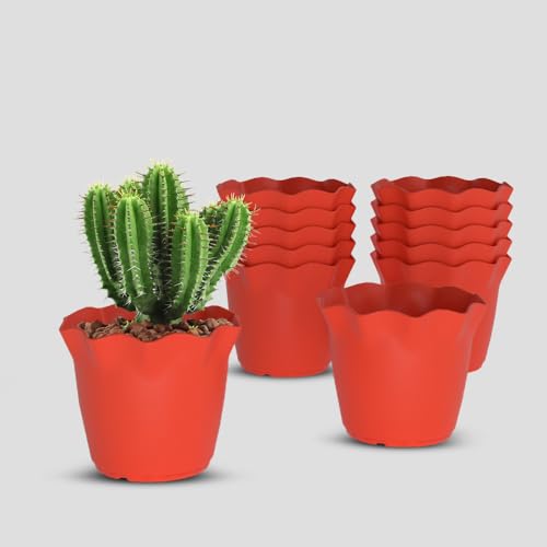 Image of YUCCABE ITALIA SHERA 6 Inch Plastic Flower Pot 12 Piece Set of Unbreakable Round Shape Planter for Home Garden Seedling, Indoor and Outdoor (Red)