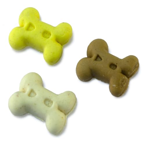 Arquivet, Kekse, Hundekekse, Mini-Vanilleknochen, 1 kg