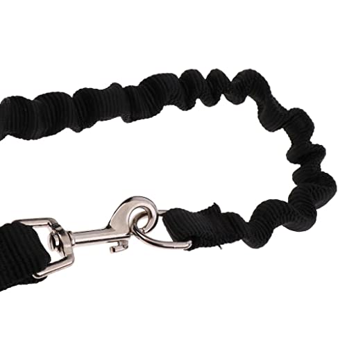 Laisse d'exercice pour chien en acier inoxydable avec double poignée - 7
