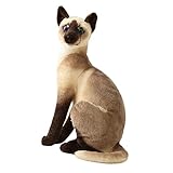 gattino siamese in regalo Caratteristiche: protezione ambientale, nessuna deformazione, nessuno sbiadimento, nessuna , i bambini possono giocare con sicurezza.
